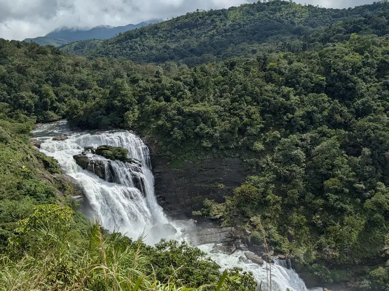 Coorg & Mysuru: Coffee Country, Karnataka.
