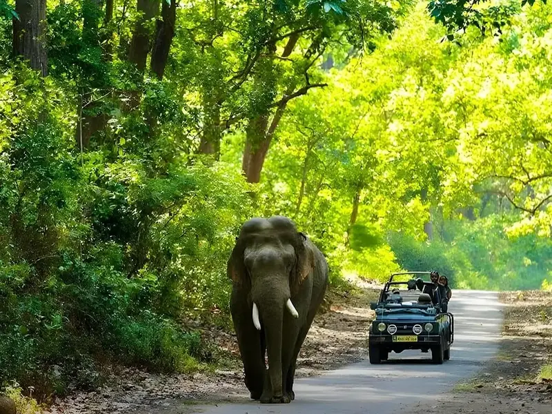 Jim Corbett & Nainital, Uttarakhand.