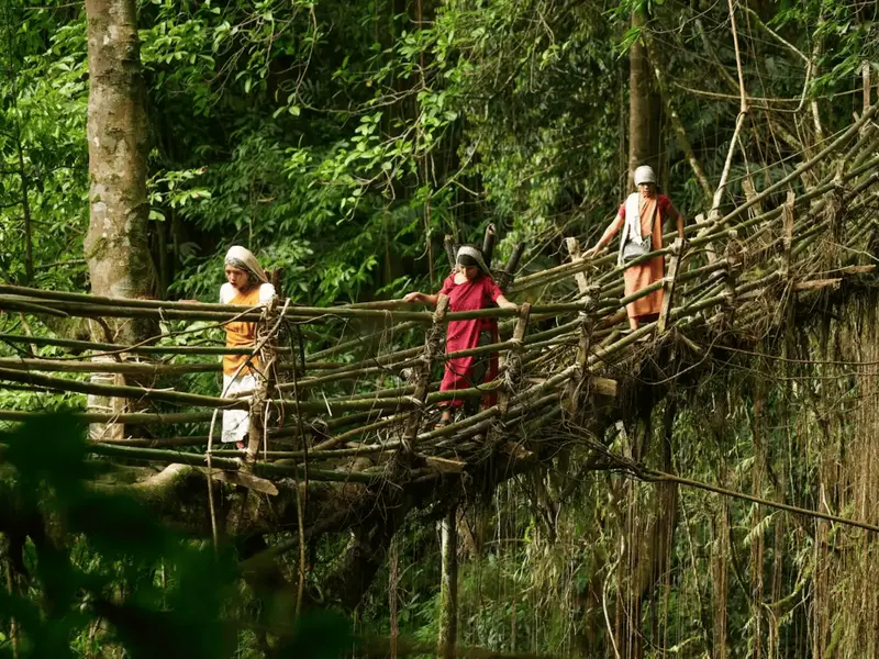 Meghalaya: Living Root Bridges & the Wettest Place on Earth, Meghalaya.