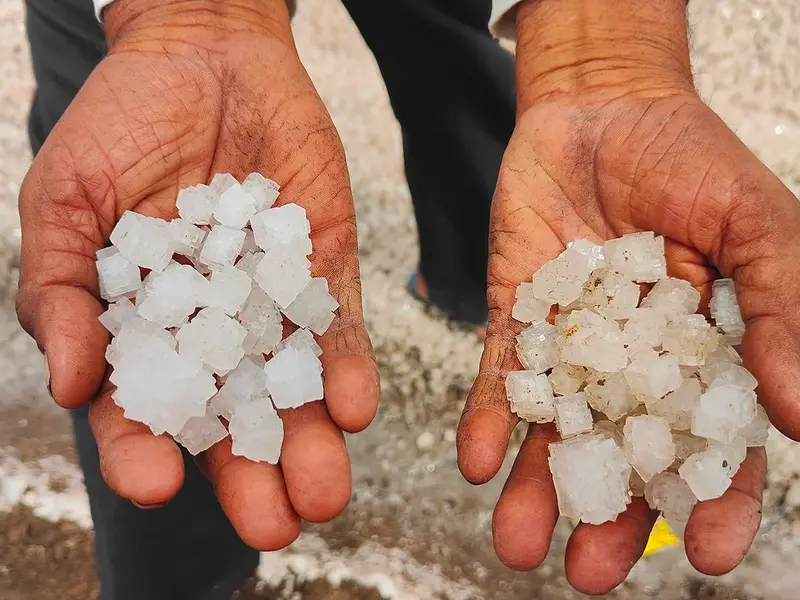 Rann of Kutch: The White Desert in Festival Season, Gujarat.