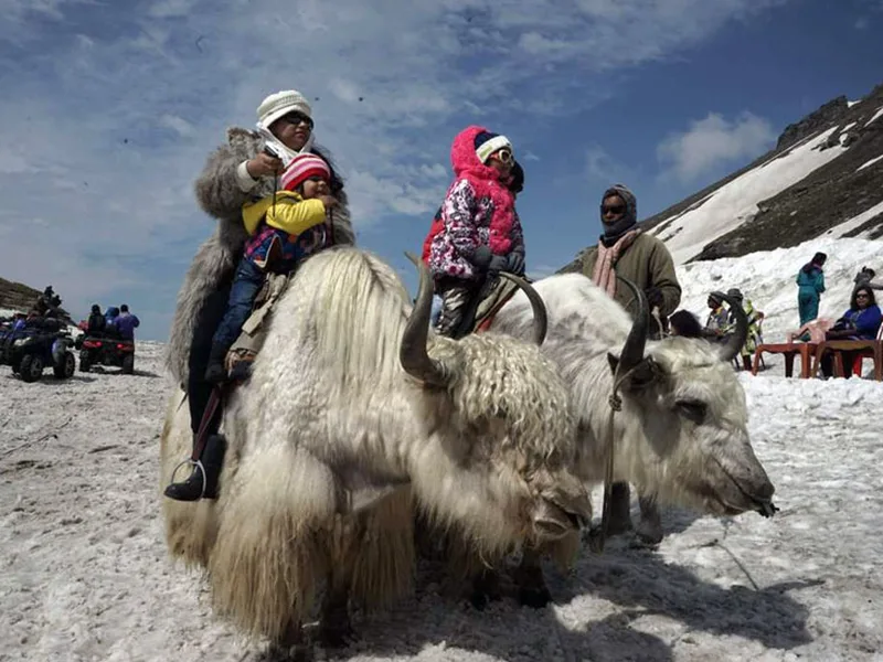 Himachal Classic: Shimla, Manali & the Old Hindustan Road, Himachal Pradesh.