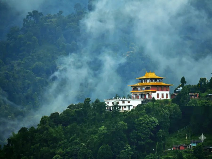 Sikkim & Darjeeling in Bloom, Sikkim & Darjeeling.