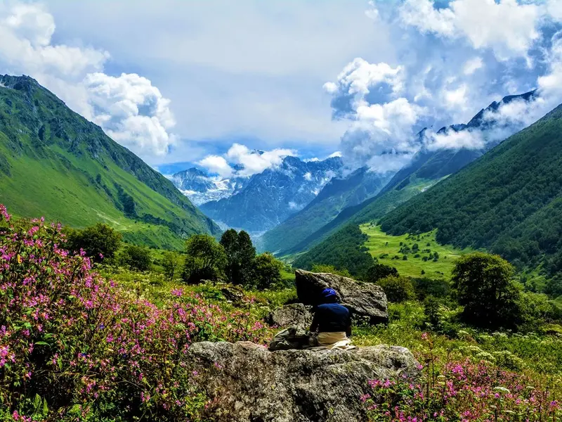 Valley of Flowers & Hemkund, Uttarakhand.